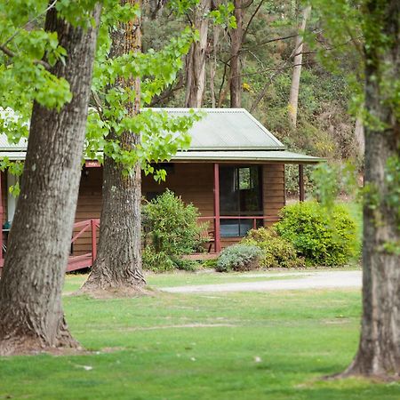 Beechworth Holiday Park Extérieur photo