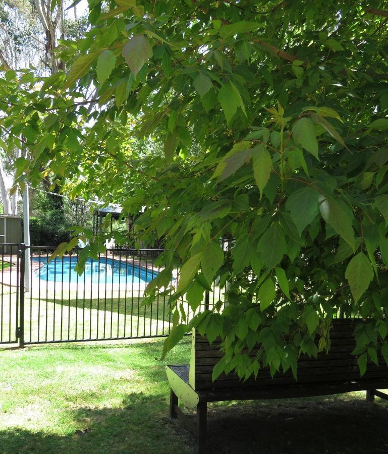 Beechworth Holiday Park Extérieur photo