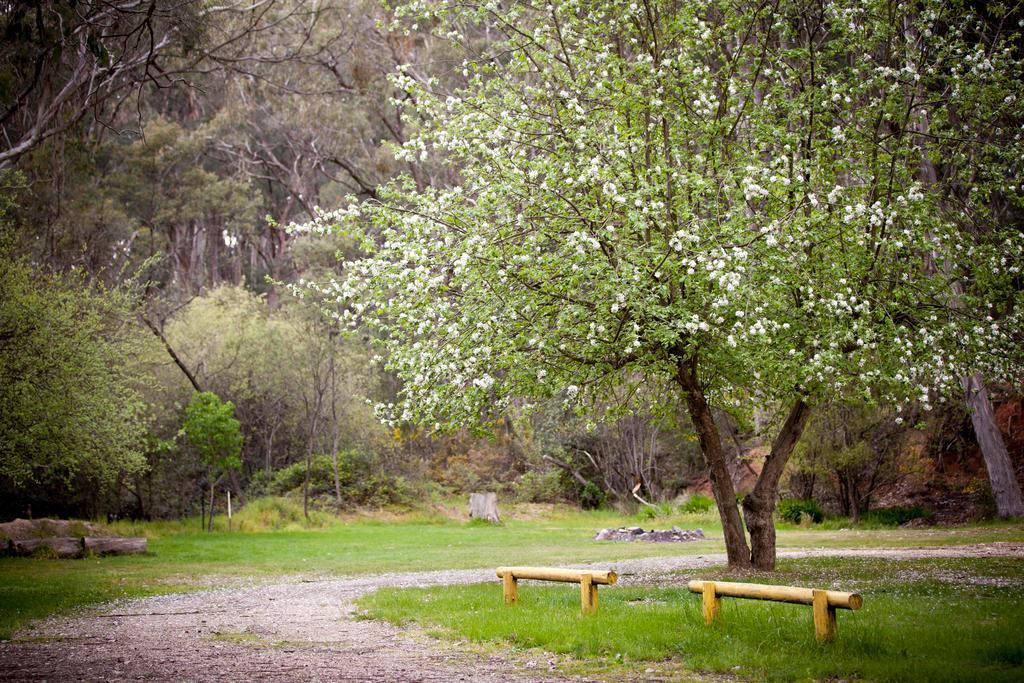 Beechworth Holiday Park Extérieur photo